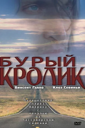 Бурый кролик 
